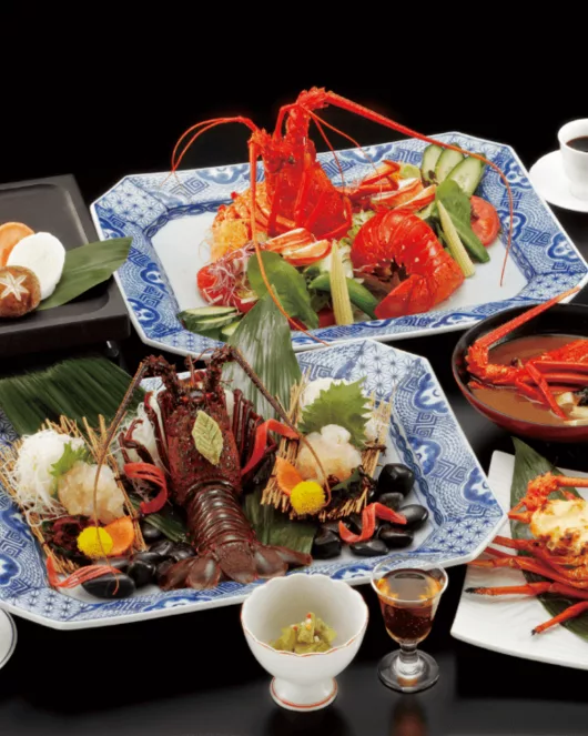 칫살 마리 코스